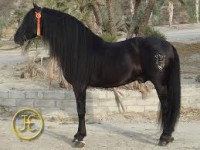 /album/fotogaleria/a10-espa-jpg/